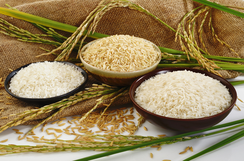 فواید و خواص برنج برای سلامتی بدن
